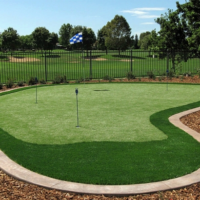 Fake Grass Carpet Cabazon, California Garden Ideas, Backyard Landscaping Ideas