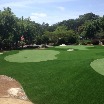 Fake Grass Carpet Lomita, California Indoor Putting Greens, Front Yard Landscaping Ideas