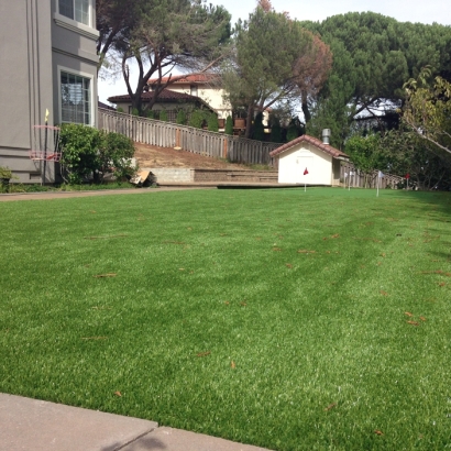 Fake Grass El Rio, California Indoor Putting Green, Backyard Garden Ideas