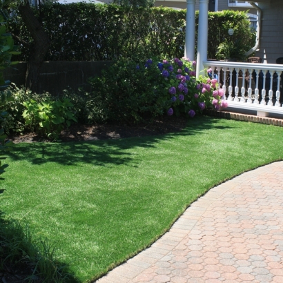 Fake Lawn Arvin, California Landscaping, Front Yard Landscaping