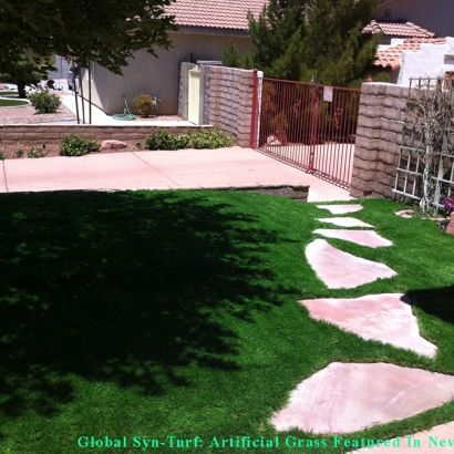 Fake Lawn , Dog Hospital, Landscaping Ideas For Front Yard