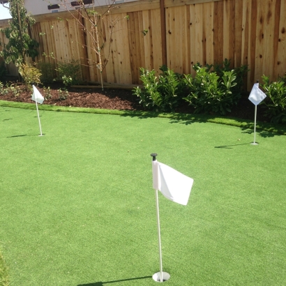 Fake Turf Anza, California Putting Greens, Backyard