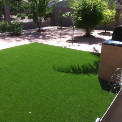 Grass Carpet Muscoy, California Dog Grass, Backyard Designs