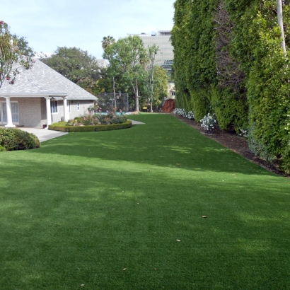 Grass Carpet San Fernando, California Roof Top, Front Yard Design