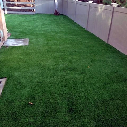 Grass Turf Chino Hills, California Pictures Of Dogs, Backyard Design