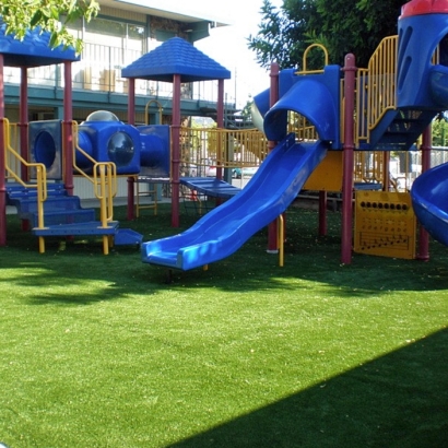 Grass Turf San Pedro, California Backyard Playground, Commercial Landscape