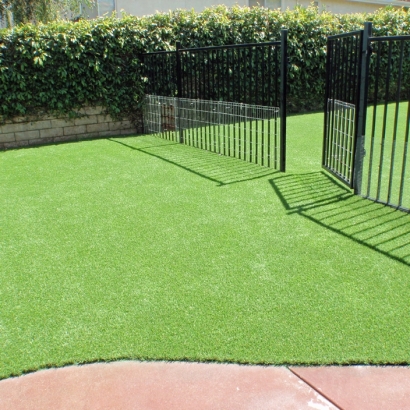 Green Lawn Glendora, California Pet Turf, Small Front Yard Landscaping