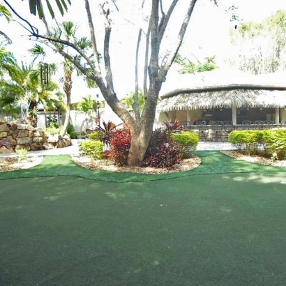 Green Lawn San Clemente, California Indoor Putting Green, Commercial Landscape