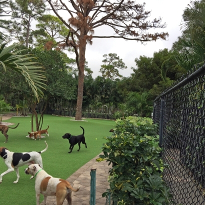 How To Install Artificial Grass El Monte, California Fake Grass For Dogs, Commercial Landscape