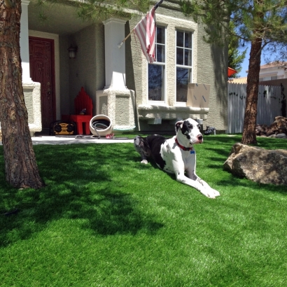 How To Install Artificial Grass Inglewood, California Rooftop, Front Yard
