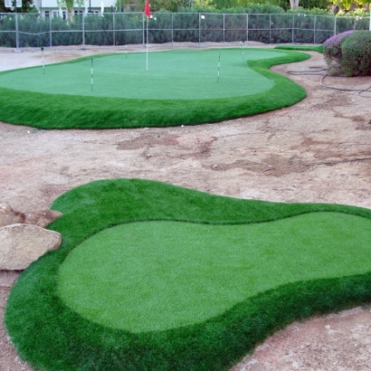 Installing Artificial Grass Beverly Hills, California Design Ideas, Front Yard Landscape Ideas