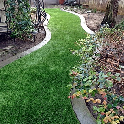 Lawn Services Arcadia, California Design Ideas, Backyard Makeover