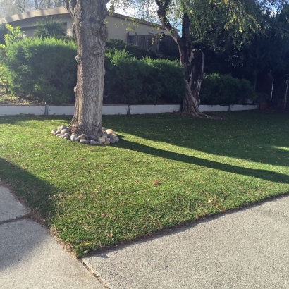 Lawn Services Temple City, California Backyard Deck Ideas, Front Yard Landscape Ideas