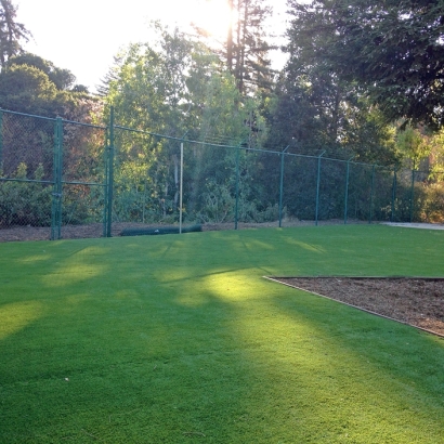 Lawn Services West Rancho Dominguez, California Gardeners, Recreational Areas