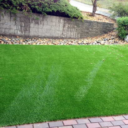 Outdoor Carpet Bodfish, California Dog Grass, Beautiful Backyards