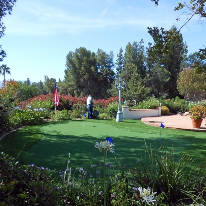 Outdoor Carpet Phelan, California Indoor Putting Greens, Small Backyard Ideas