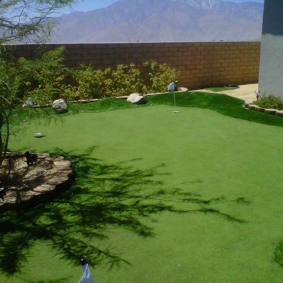 Plastic Grass Mentone, California Indoor Putting Greens, Backyard Landscaping