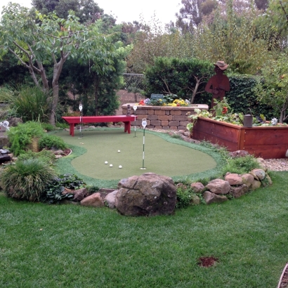 Plastic Grass Squirrel Mountain Valley, California Backyard Deck Ideas, Small Backyard Ideas