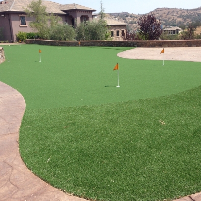 Plastic Grass View Park-Windsor Hills, California Backyard Deck Ideas