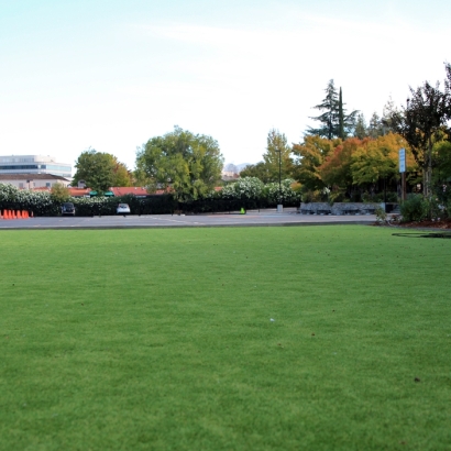 Synthetic Grass Bonita, California Playground Turf