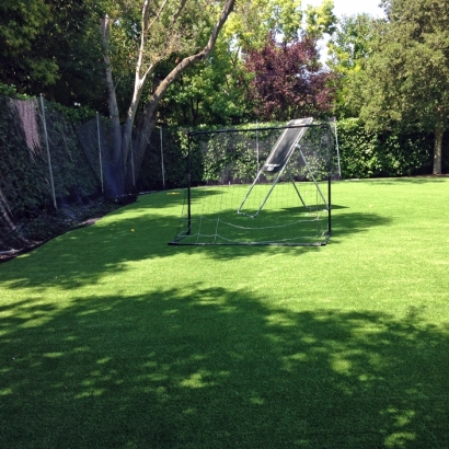 Synthetic Grass Bonsall, California Lawns, Backyard Design