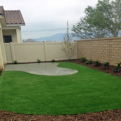 Synthetic Grass Cost Bloomington, California Lawn And Landscape, Backyard