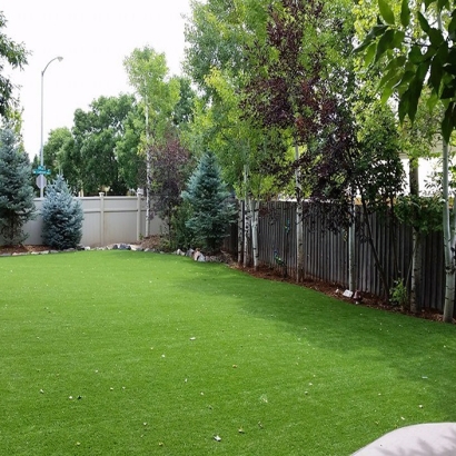 Synthetic Grass Glen Avon, California Backyard Playground, Backyard