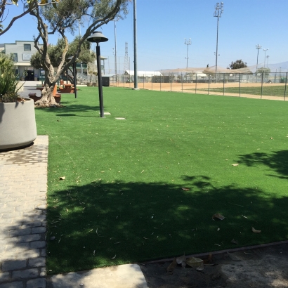 Synthetic Grass Oak Glen, California Lawn And Landscape, Parks