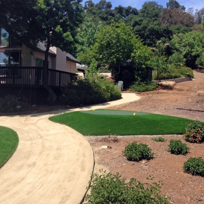 Synthetic Grass Valinda, California Landscape Photos, Front Yard Ideas