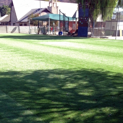 Synthetic Lawn Fellows, California Landscaping Business, Parks