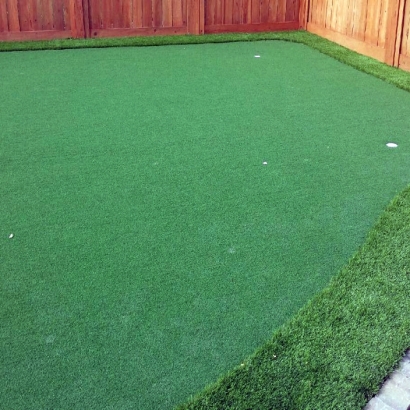 Synthetic Lawn Huntington Beach, California Home And Garden, Backyards