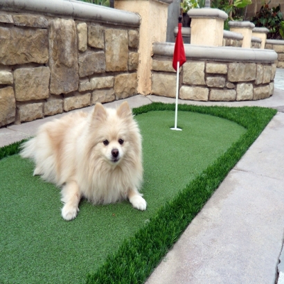 Synthetic Lawn Murrieta, California Home Putting Green, Backyard Ideas