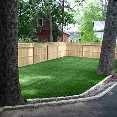 Synthetic Lawn Rancho Santa Fe, California Dog Grass, Backyard Ideas