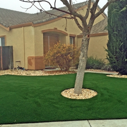 Synthetic Turf Glendale, California Home And Garden, Front Yard Landscaping