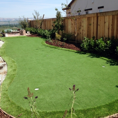 Synthetic Turf Oak Park, California Backyard Putting Green, Backyard Landscape Ideas