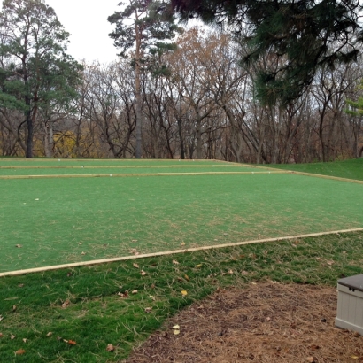 Synthetic Turf Panorama Heights, California Landscape Photos