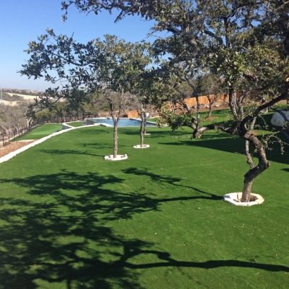 Synthetic Turf Supplier Crestline, California Landscaping Business, Backyard Landscaping