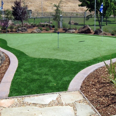 Synthetic Turf Supplier Hidden Hills, California Backyard Putting Green, Backyard Landscaping Ideas