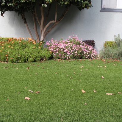Synthetic Turf Supplier Ladera Heights, California Home And Garden, Front Yard Landscaping