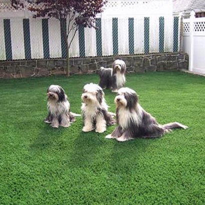 Synthetic Turf Supplier Potrero, California Backyard Deck Ideas, Backyard Designs