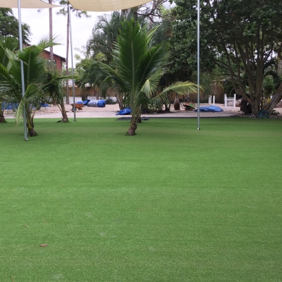 Synthetic Turf Supplier Sherman Oaks, California Landscaping, Commercial Landscape