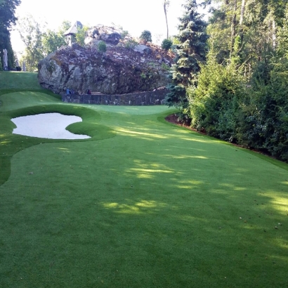 Turf Grass Buena Park, California Lawns, Commercial Landscape