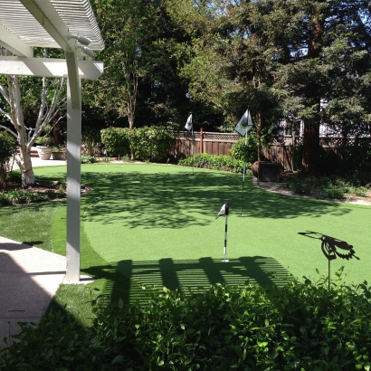 Turf Grass Crestline, California Garden Ideas