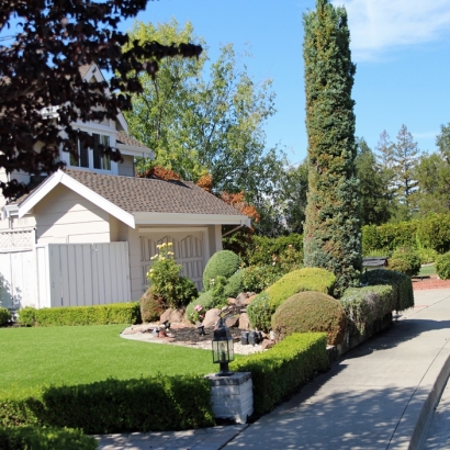 Turf Grass East Pasadena, California Rooftop, Front Yard Landscaping