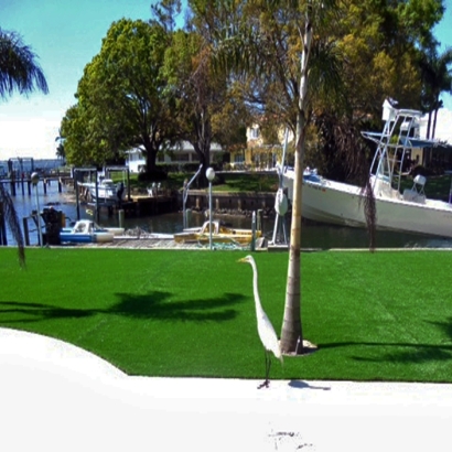 Turf Grass , Lawn And Landscape, Backyard Makeover