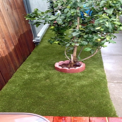 Turf Grass Lawndale, California Hotel For Dogs, Backyard Designs