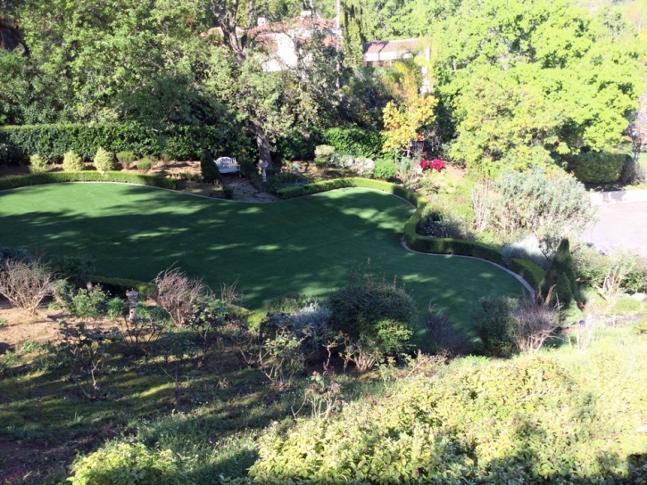 Artificial Grass Carpet Beverly Hills, California Design Ideas, Backyard Designs