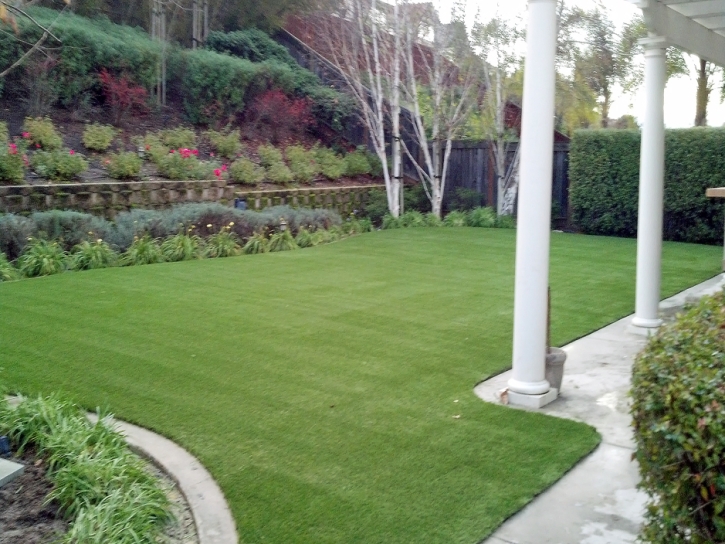 Artificial Grass Installation Culver City, California Indoor Dog Park, Backyard Landscaping