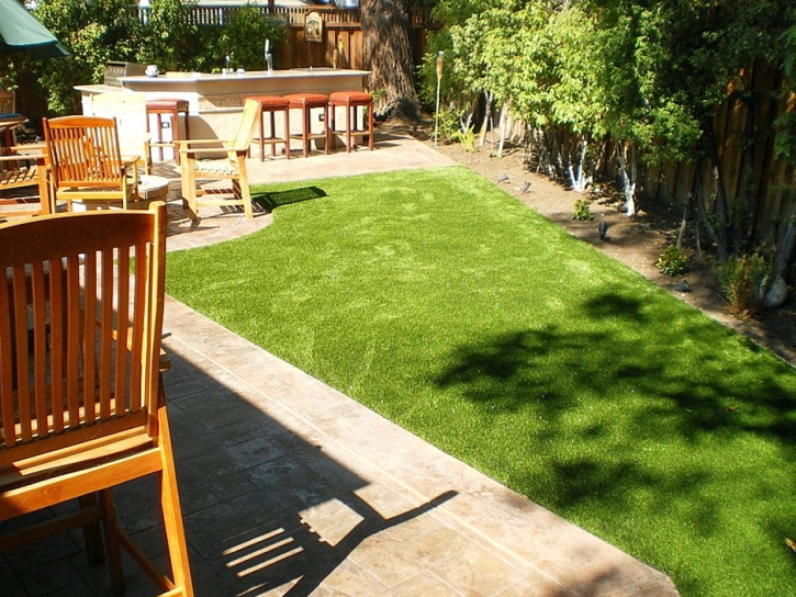 Artificial Grass Installation Rancho Santa Margarita, California Hotel For Dogs, Backyard Ideas