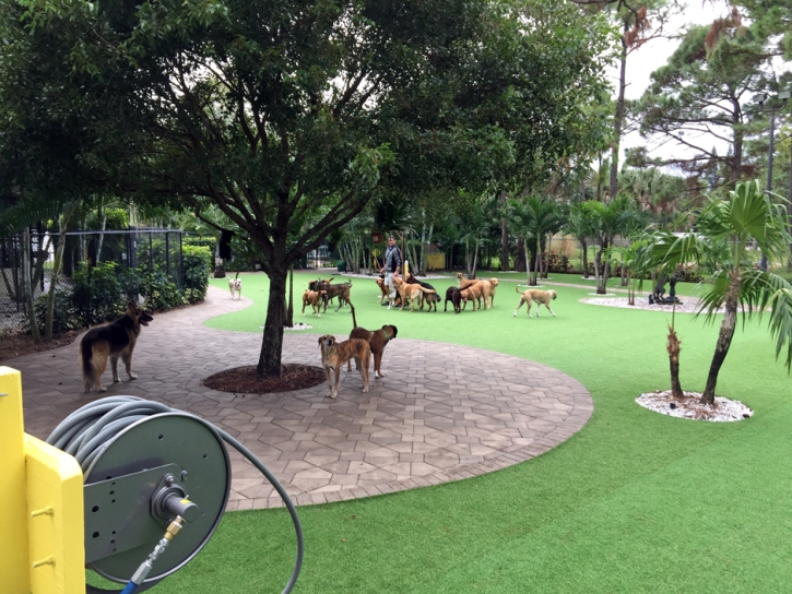 Artificial Grass Installation South San Gabriel, California Dog Run, Commercial Landscape